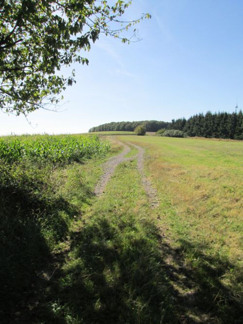 Bild "Willkommen:gelaende_500.jpg"